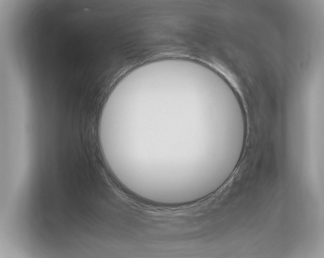 X0000113010009200908270949