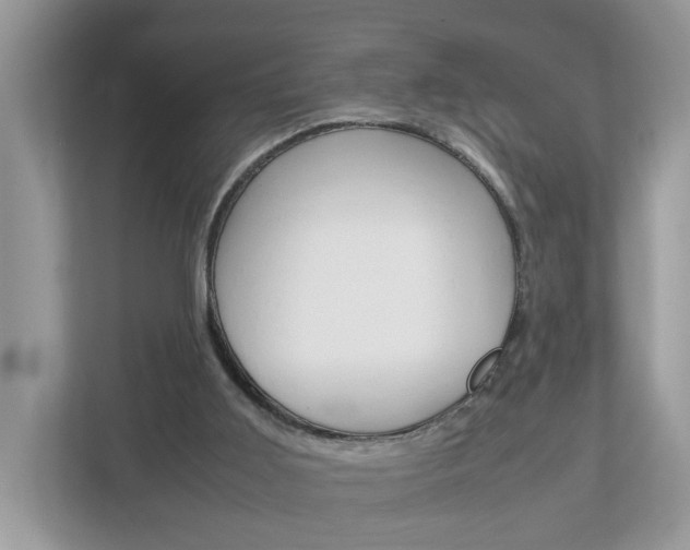 X0000113010011200908270949