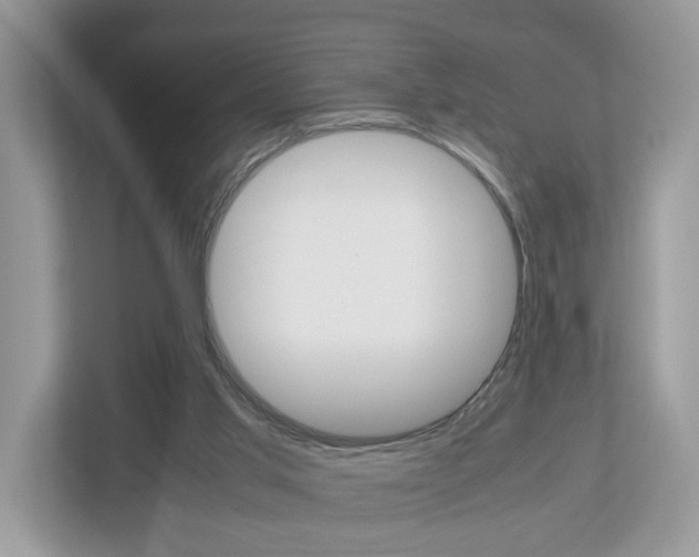 X0000113010013200908270949
