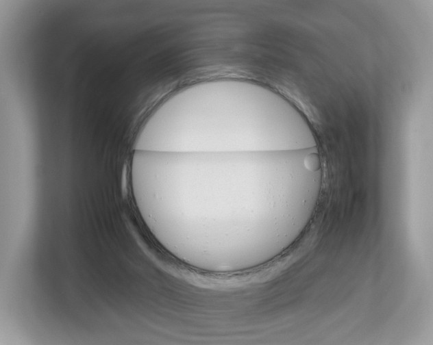 X0000113010014200908270949