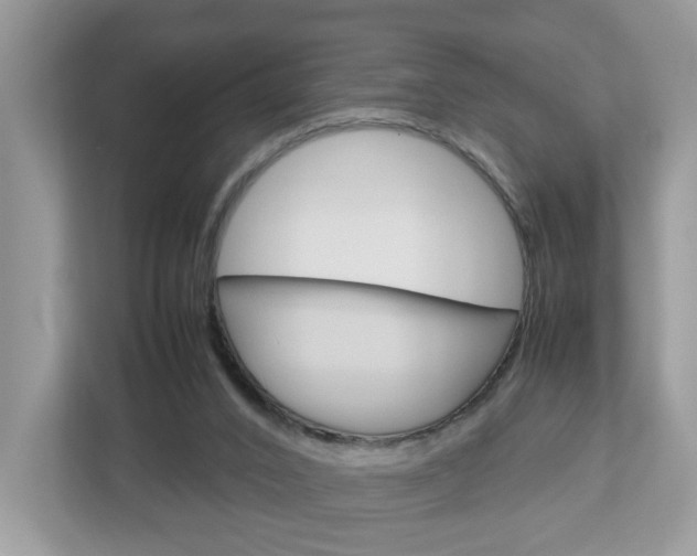 X0000113010016200908270949