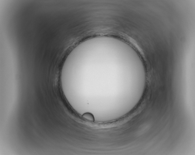 X0000113010018200908270949