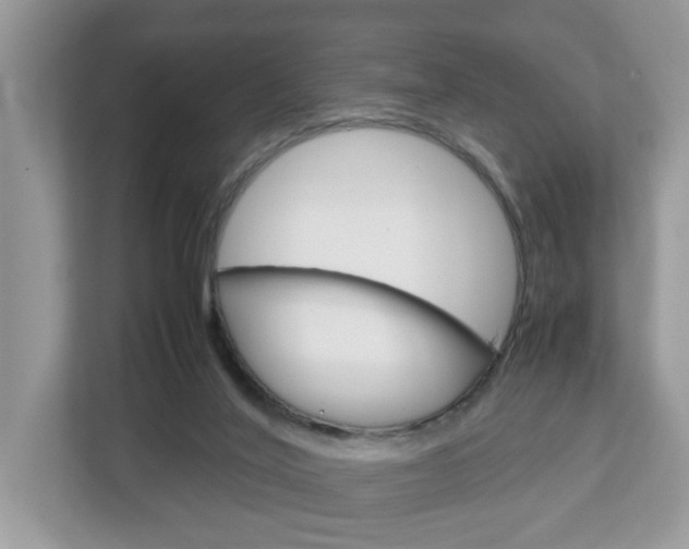 X0000113010020200908270949