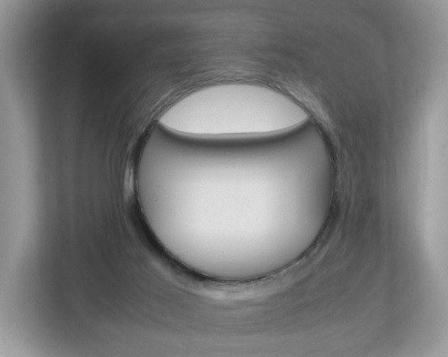 X0000113010021200908270949