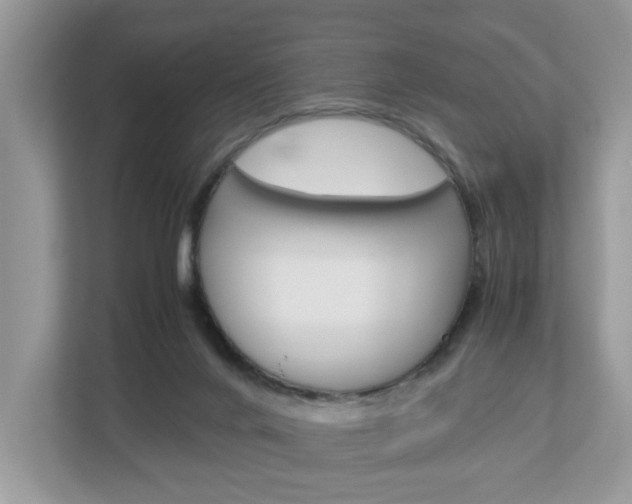 X0000113010024200908270949