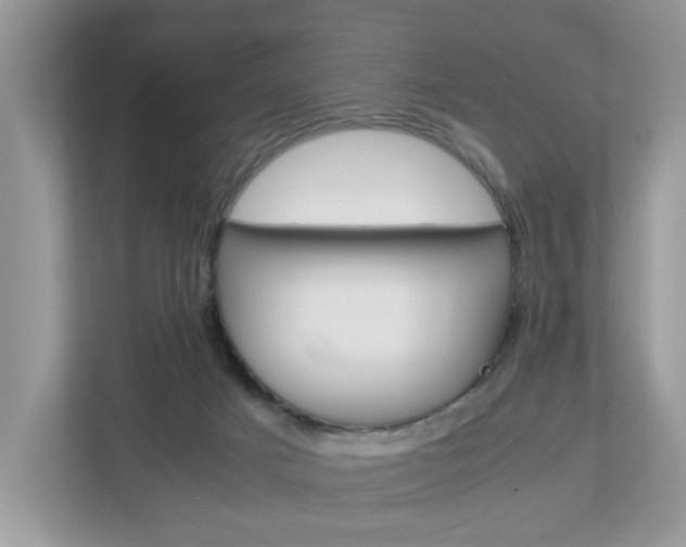 X0000113010025200908270949