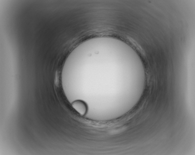 X0000113010026200908270949