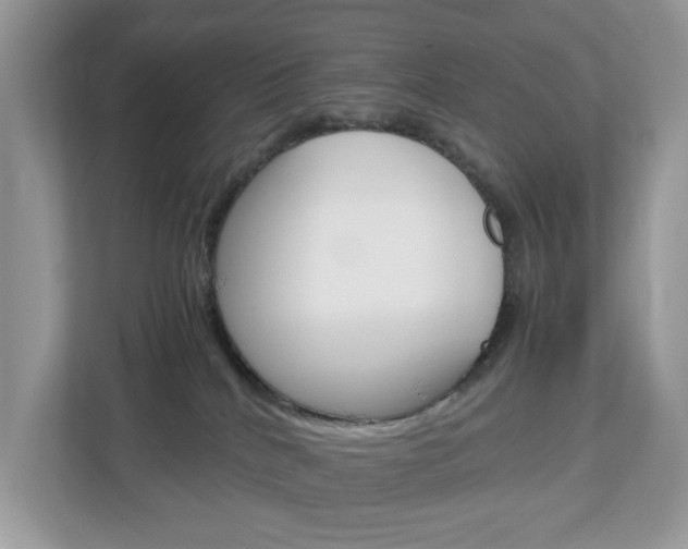 X0000113010040200908270948
