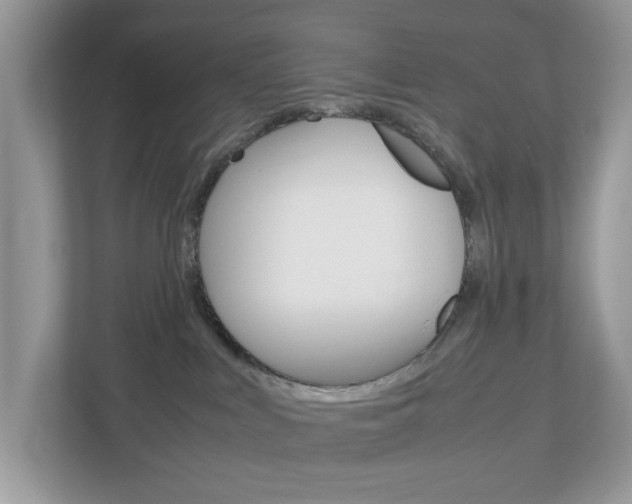 X0000113010043200908270948