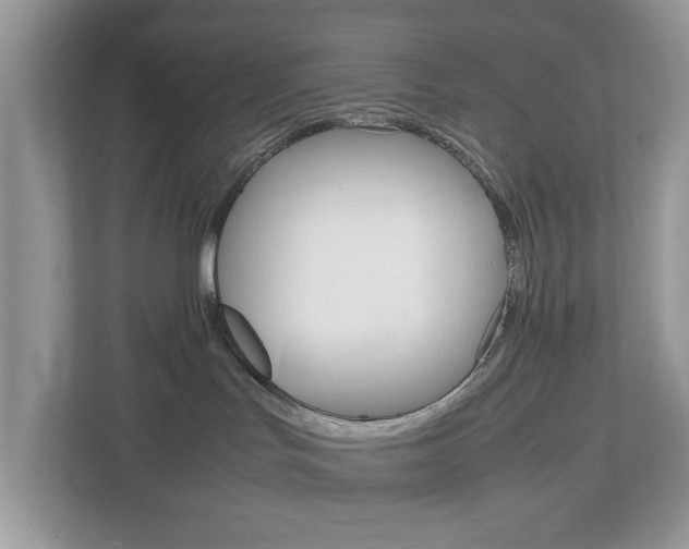 X0000113010047200908270948