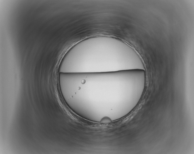 X0000113010049200908270948