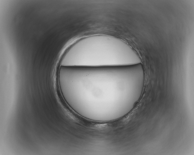 X0000113010054200908270948