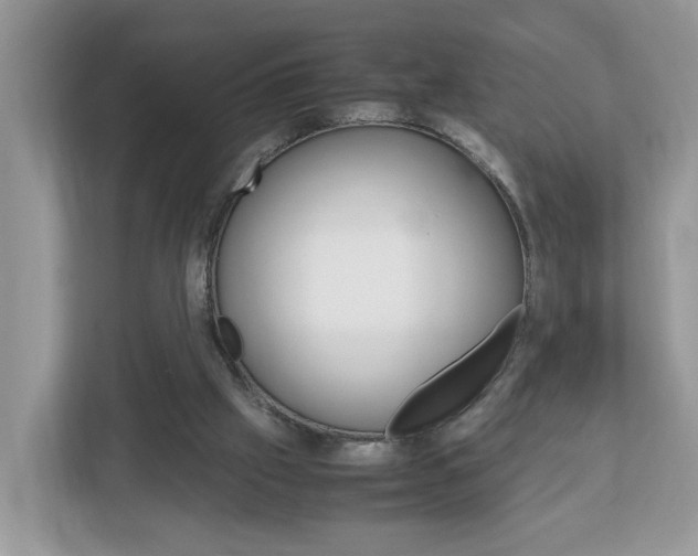X0000113010057200908270948