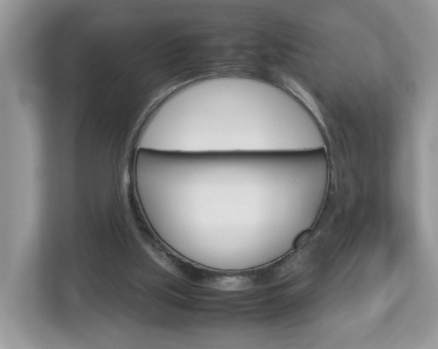 X0000113010059200908270948