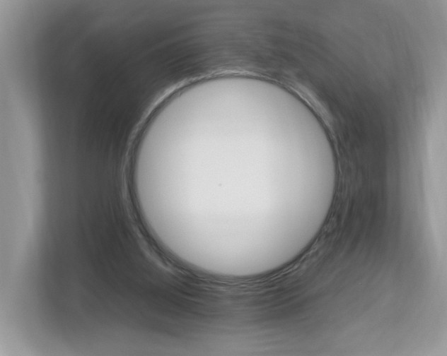 X0000113010060200908270948