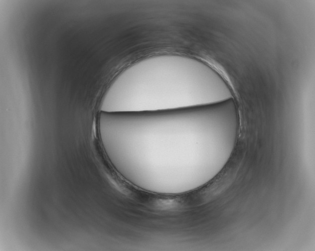 X0000113010061200908270948
