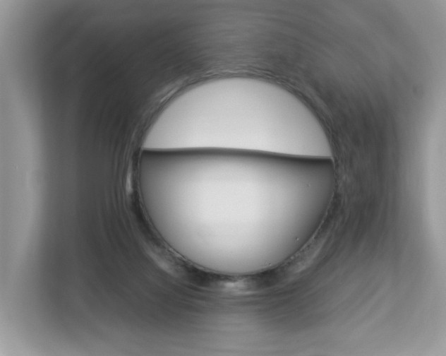 X0000113010068200908270948
