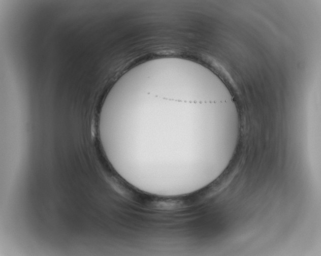 X0000113010069200908270948