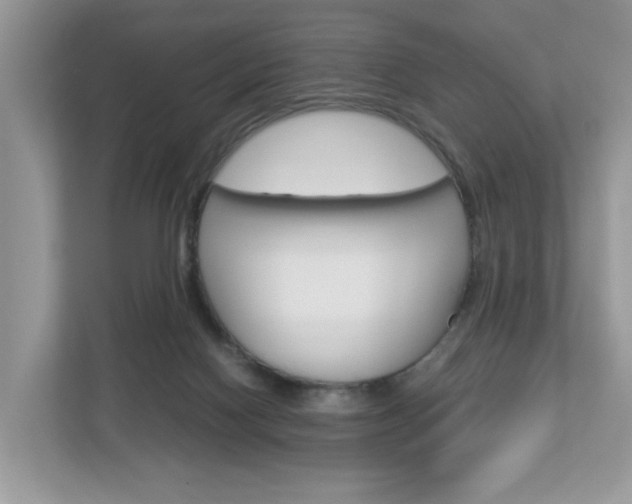 X0000113010074200908270948