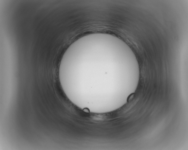 X0000113010079200908270948