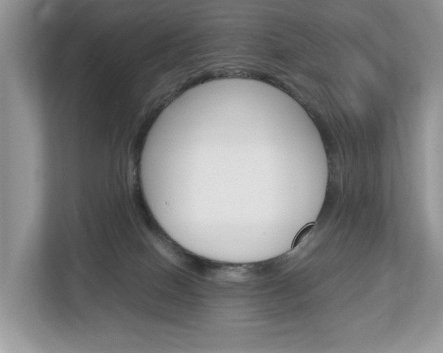 X0000113010086200908270948