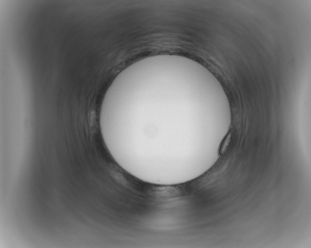 X0000113010087200908270948