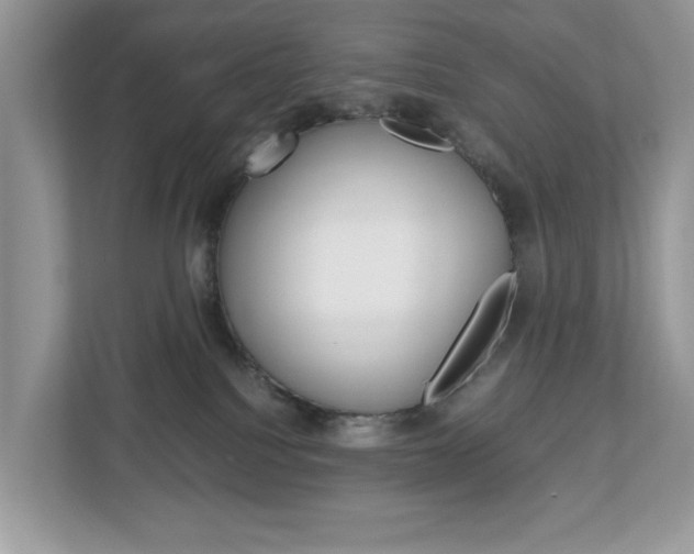 X0000113010088200908270948