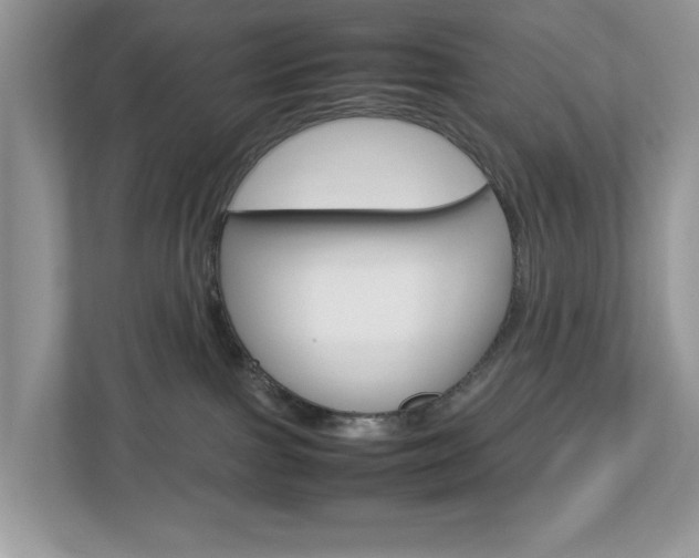 X0000113010091200908270948