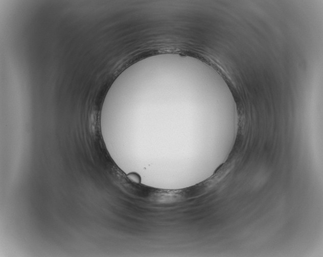 X0000113010093200908270948