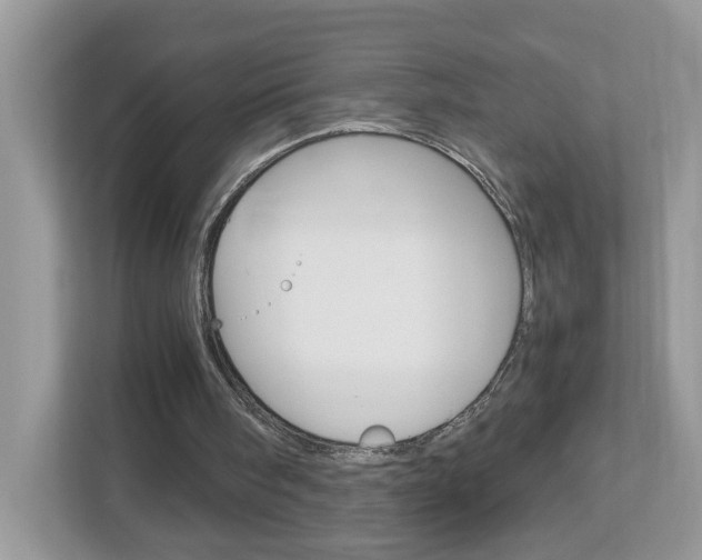 X0000113010098200908270948