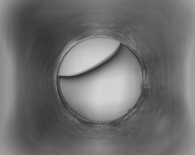 X0000113010099200908270948