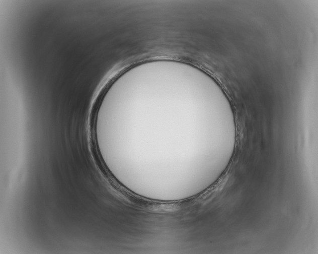 X0000113010102200908270948