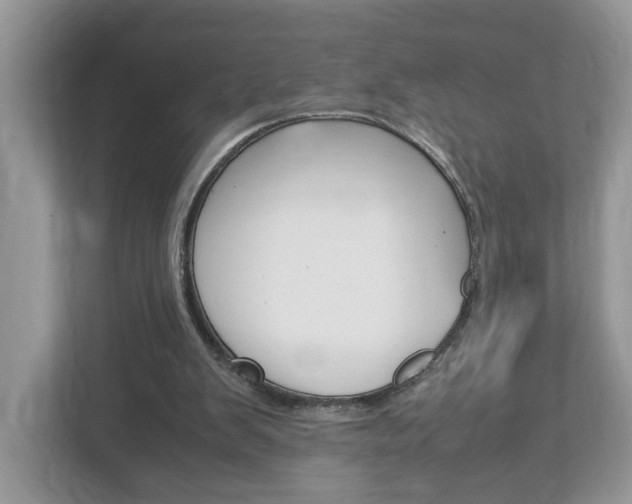 X0000113010103200908270948