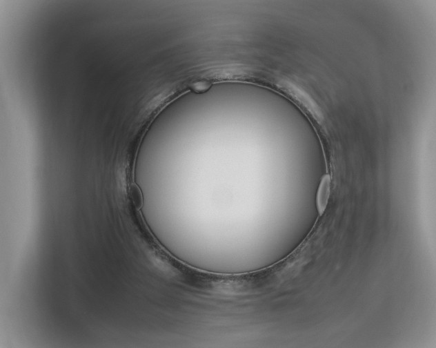 X0000113010105200908270947