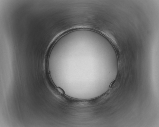 X0000113010108200908270947