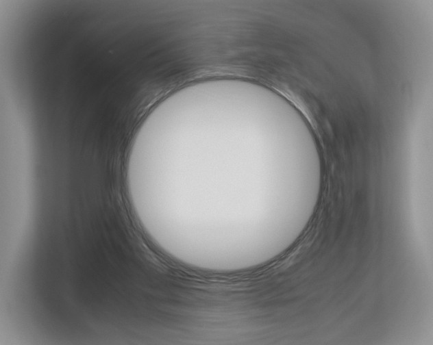 X0000113010109200908270947