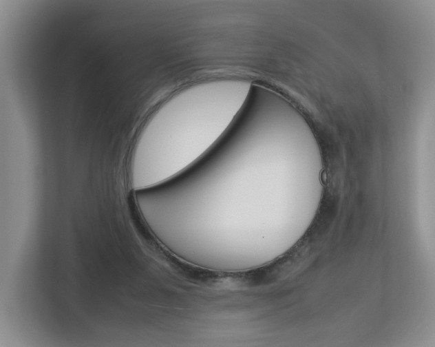 X0000113010111200908270947