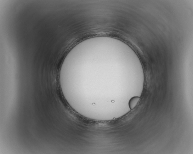 X0000113010114200908270947
