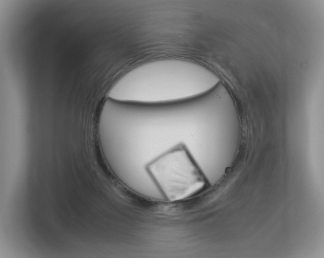 X0000113010117200908270947