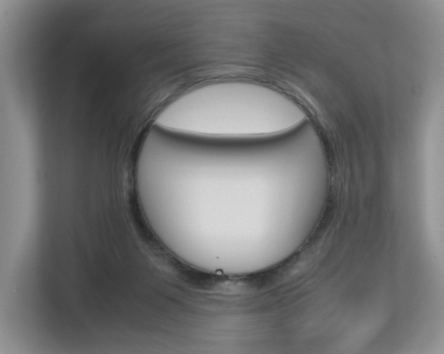 X0000113010119200908270947