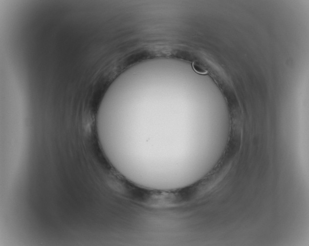 X0000113010125200908270947