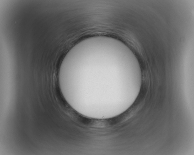 X0000113010127200908270947