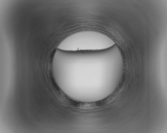 X0000113010129200908270947