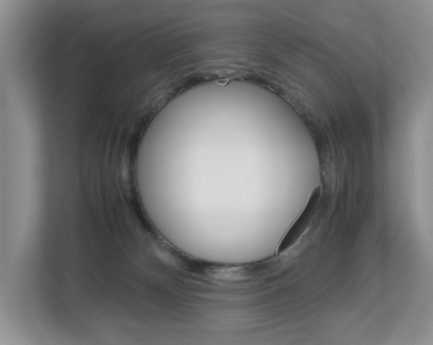 X0000113010132200908270947
