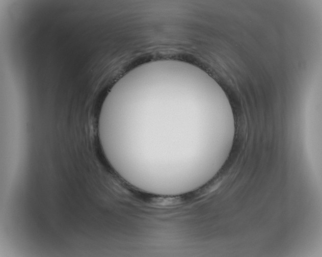 X0000113010135200908270947