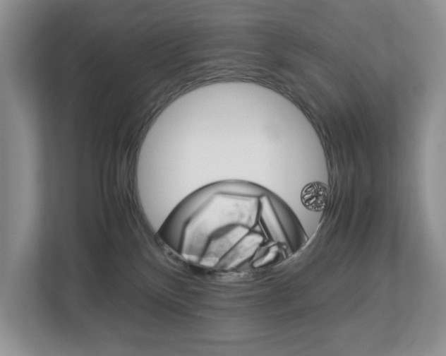 X0000113010136200908270947