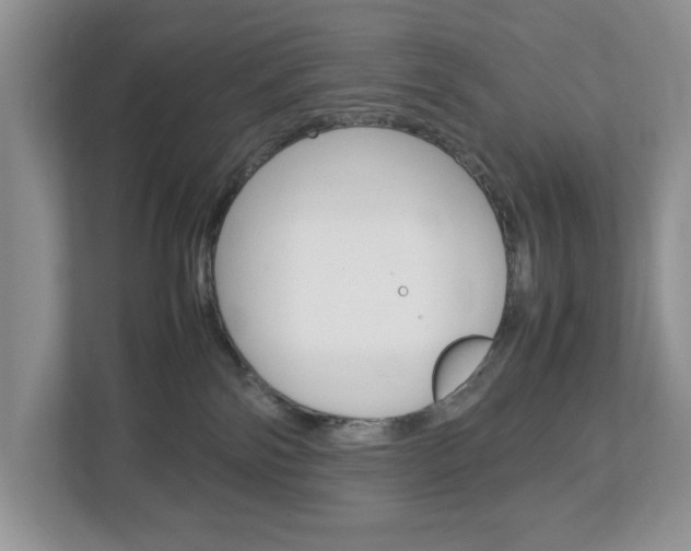 X0000113010138200908270947