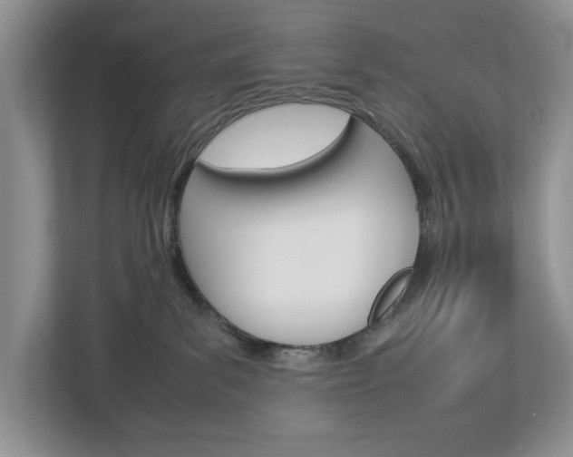 X0000113010139200908270947