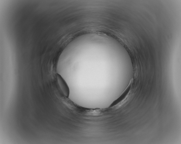 X0000113010140200908270947