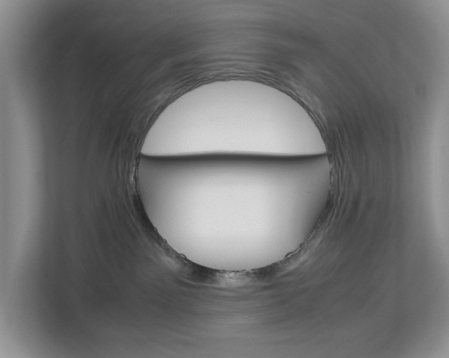 X0000113010141200908270947
